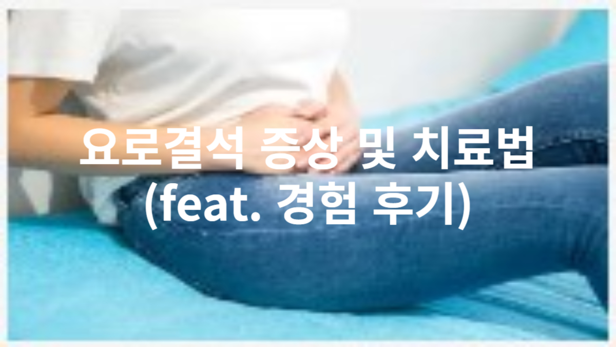 요로결석 경험 후기 (with 원인, 증상, 치료)