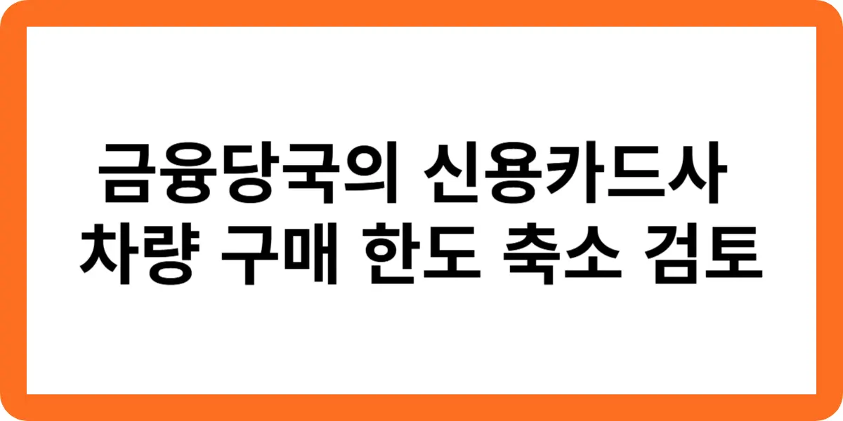 금융당국의 신용카드사 차량 구매 한도 축소 검토